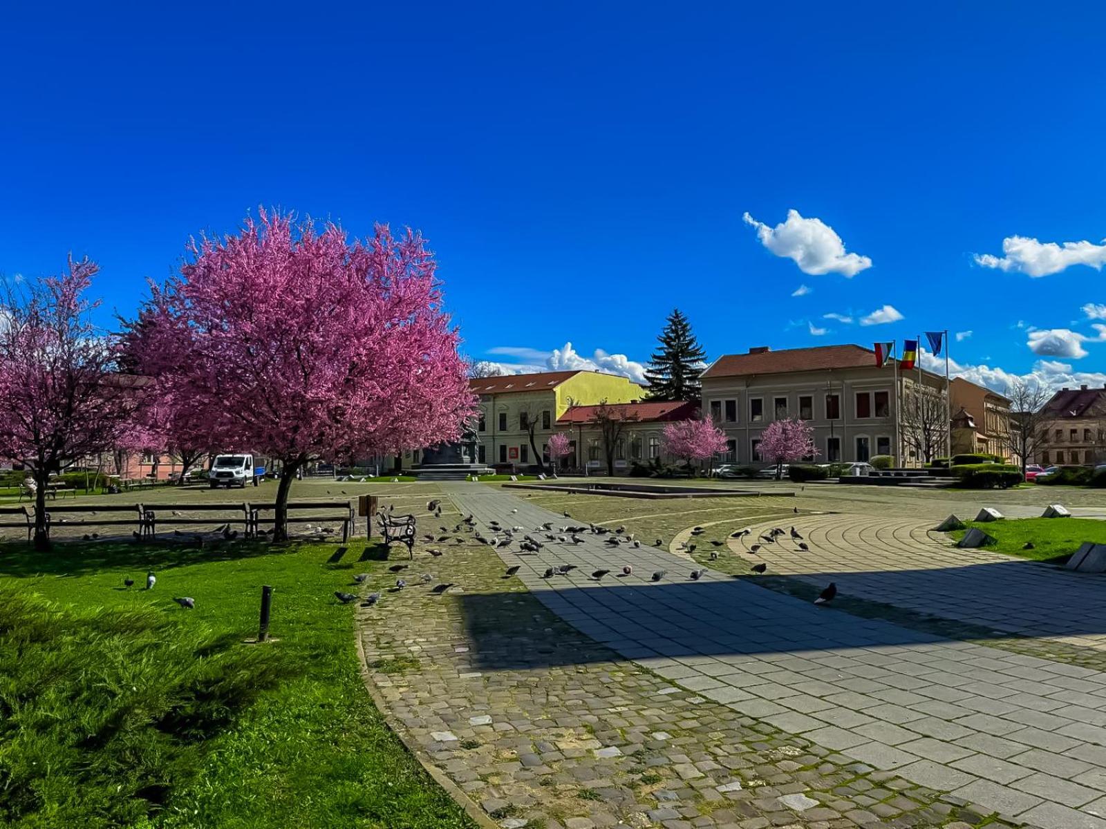 Hera'S Garden Arad Exterior foto
